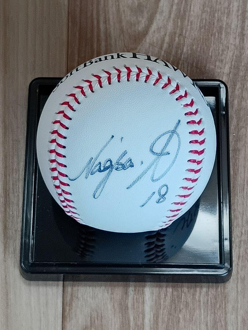 プロ野球　直筆サインボール投げ入れ用ボール　新垣選手ソフトバンクダイエーホークス プロ野球 直筆サインボール投げ入れ用ボール 新垣選手